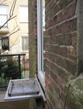 bbq1web
