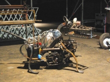 robodog1